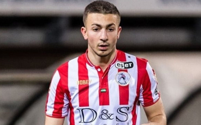 Beşiktaş 20'lik bombayı patlattı: Halil Dervişoğlu - Resim: 0