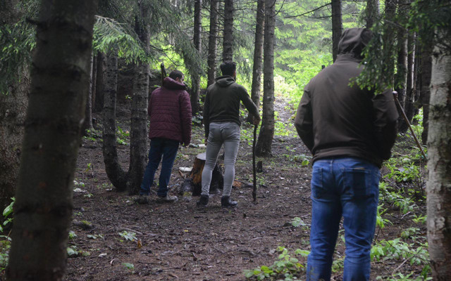 Giresun'da ayıyla 10 dakika boğuştu! Köpekler kurtardı Karadeniz'e 2 önlem önerisi - Resim: 0