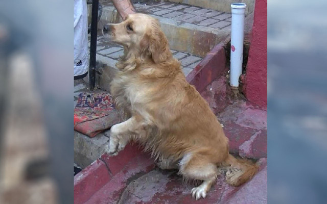 İzmir'de yangını unutup birbirlerine girdiler! Aile fertlerinin 'Sen yaktın' kavgası - Resim: 2