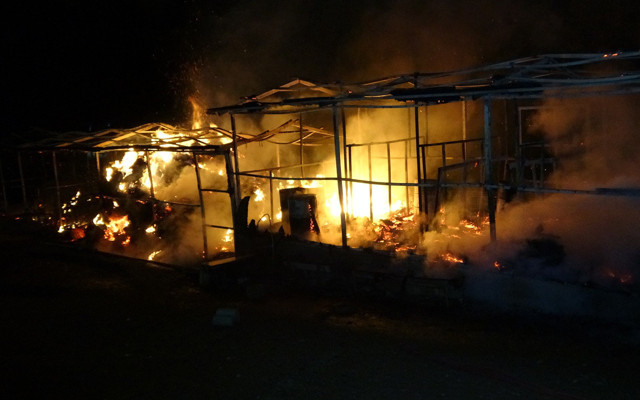Bursa'da at çiftliği alevlere teslim oldu: 10 hayvan telef oldu - Resim: 0