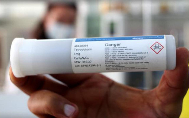 Balon balığının zehrinin gramı 1 milyon euro! Kanser hastalarının acılarını dindirmede umut olabilir - Resim: 0