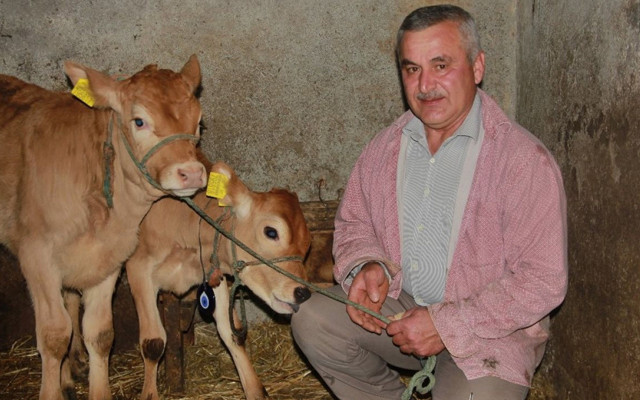 Sinop'ta yeni doğan buzağılarına verdiği isim şaşırttı 'onlardan esinlendim' - Resim: 0