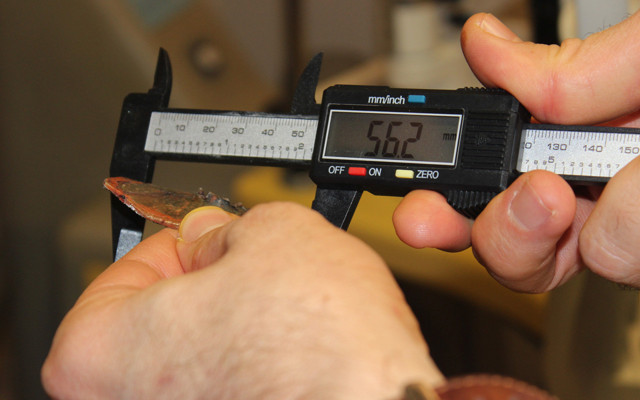 20 yıllık doktor böylesini görmedi! Hatay'da yılbaşı gecesi kabusa döndü - Resim: 0