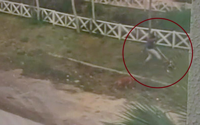 Antalya'da isyan ettiren görüntüler! Sokak ortasında 2 köpeğine sopayla saldırdı - Resim: 1