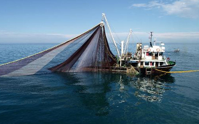Önerisiyle tepkilerin odağındaki akademisyen: Beni günah keçisi ilan ediyorlar - Resim: 0