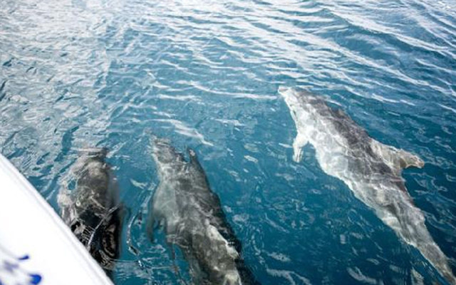 Önerisiyle tepkilerin odağındaki akademisyen: Beni günah keçisi ilan ediyorlar - Resim: 1