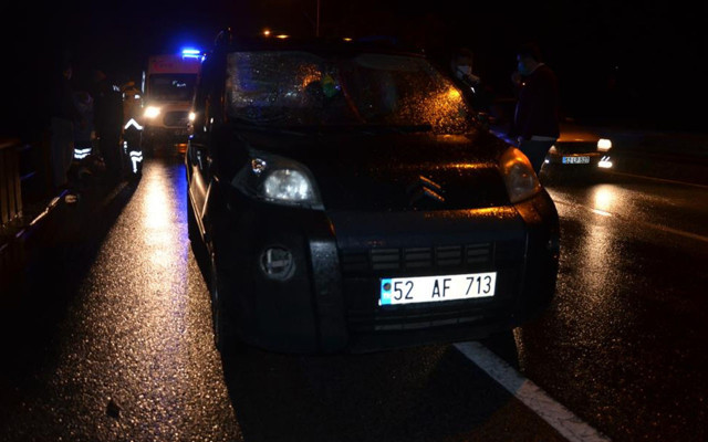 Ordu'da otomobilin çarptığı 1 kişi hayatını kaybetti - Resim: 1