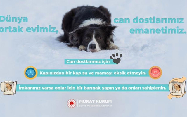 Bakan Murat Kurum’dan 'Can dostlarımız için' paylaşımı - Resim: 0
