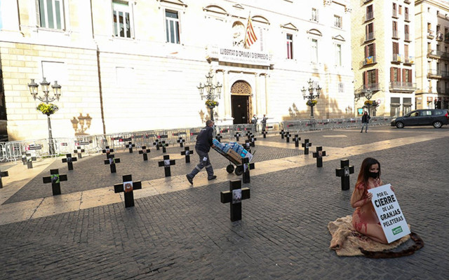 İspanya'da hayvan hakları savunucusu soyunup çıplak protestoda bulundu - Resim: 0