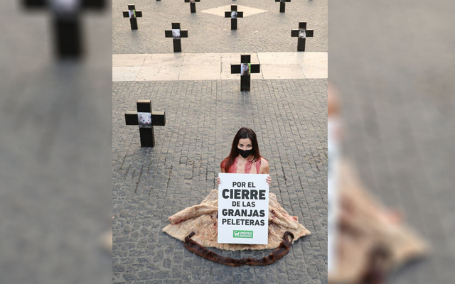 İspanya'da hayvan hakları savunucusu soyunup çıplak protestoda bulundu - Resim: 1