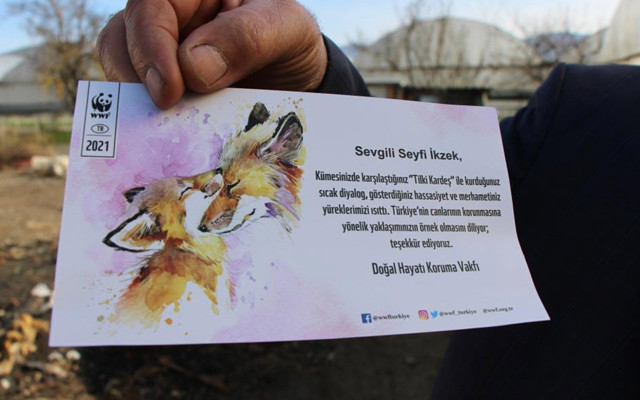Amasya'da 'tilki kardeş' demesiyle gündeme gelmişti! Teşekkür belgesine sevinemedi - Resim: 1