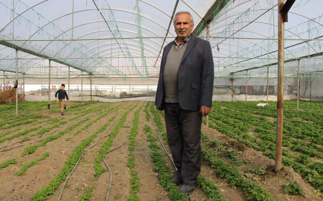 Amasya'da 'tilki kardeş' demesiyle gündeme gelmişti! Teşekkür belgesine sevinemedi - Resim: 0