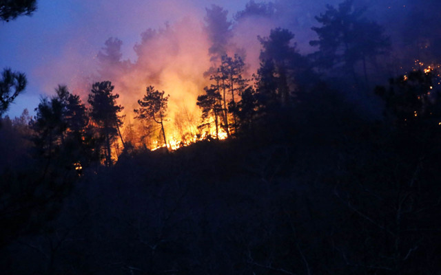 Kastamonu'da saniyelere karşı savaş! Mahalleye sıçrayan orman yangını söndürüldü - Resim: 0