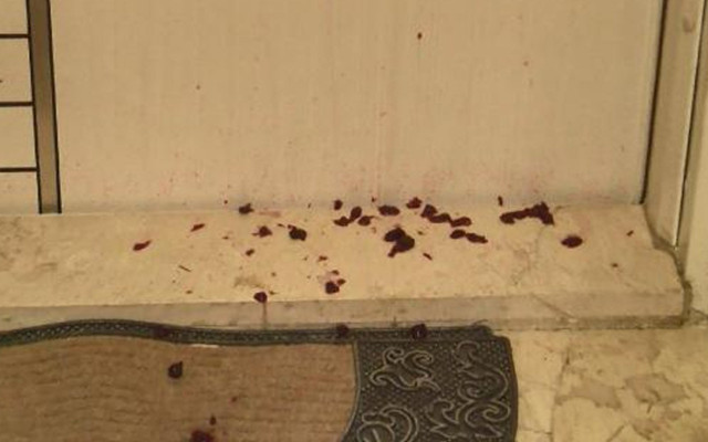 Esenyurt'ta komşu kabusu sürüyor: Pis sudan sonra reçel - Resim: 0