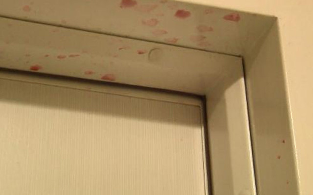 Esenyurt'ta komşu kabusu sürüyor: Pis sudan sonra reçel - Resim: 1