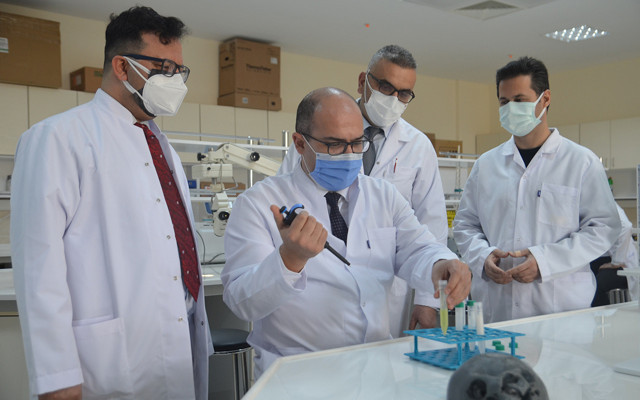 Türk bilim insanları kudret narının kemik kırığı tedavisinde kullanılabileceğini ispatladı - Resim: 0