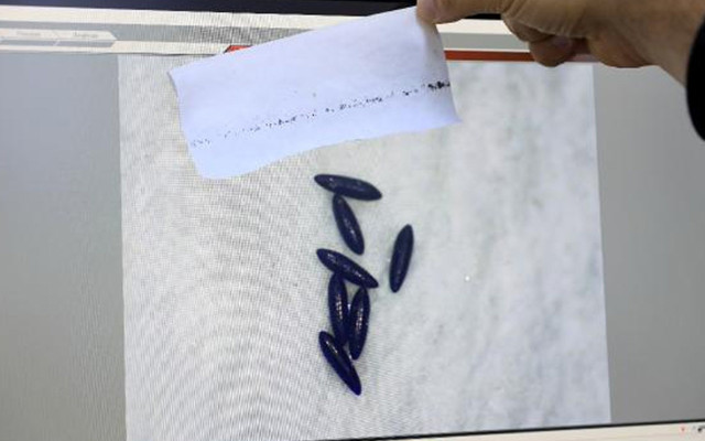 Sivrisinekler kışı iyi geçirdi! Yaz aylarının tamamında artış görülecek - Resim: 0