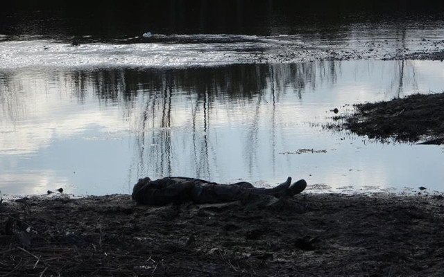 Adana'da bulmak için WhatsApp grubu kurmuşlardı yaşlı adamdan acı haber - Resim: 0