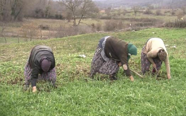 Balıkesir'de 1 yıldır tek vaka görülmeyen mahalle 'kızılcık hoşafı' sırrını gizlemiyor - Resim: 1