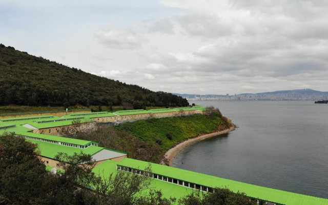İBB Adalar’dan topladığı 100’e yakın atı ahıra hapsetti - Resim: 0