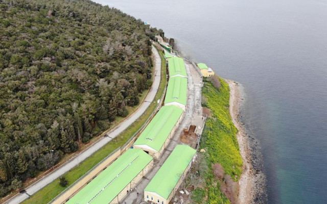 İBB Adalar’dan topladığı 100’e yakın atı ahıra hapsetti - Resim: 1