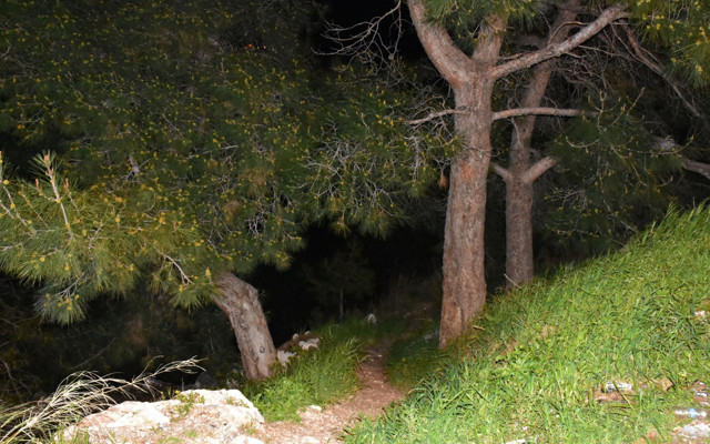 İzmir'de ekipler harekete geçti! Ormanlık alanda kafatası ve kemik parçaları bulundu - Resim: 0