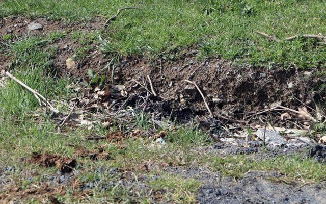 Eşini ormanlık alana götürüp yaktı! Tekirdağ'daki koca vahşeti - Resim: 0