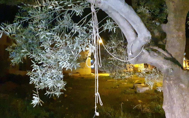 Aydın'da çocuğu gösterilmediği için intihara kalkışan babayı ipten aldılar - Resim: 0