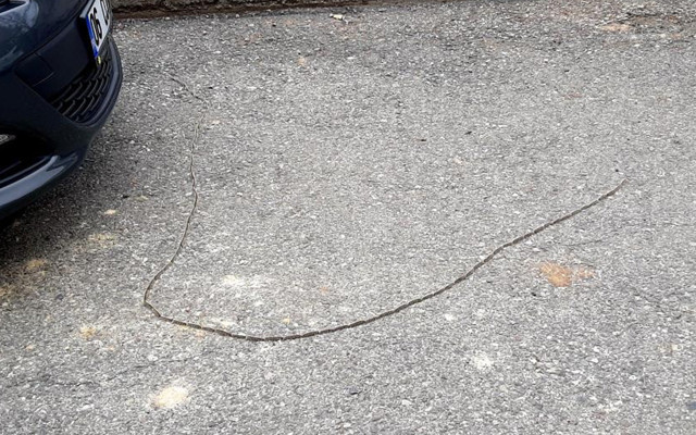 Adıyaman'da tırtıllar ip gibi dizildi görenler 'yılan' zannetti - Resim: 2