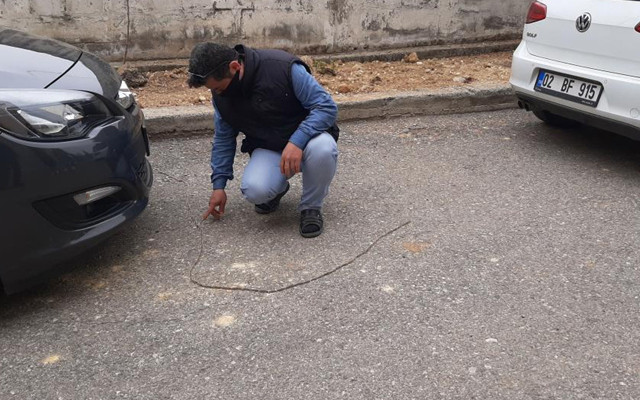 Adıyaman'da tırtıllar ip gibi dizildi görenler 'yılan' zannetti - Resim: 1