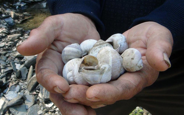 Muğla'da köylüler yıllardır 'intihar deresi'nin sırrını çözemiyor - Resim: 0
