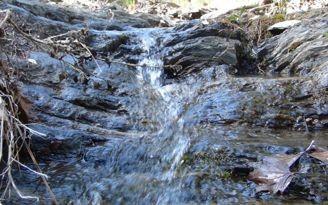 Muğla'da köylüler yıllardır 'intihar deresi'nin sırrını çözemiyor - Resim: 1