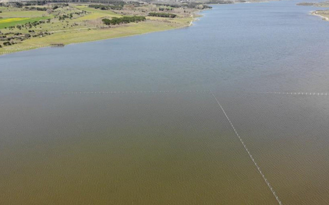 Ömerli Barajı'nda İSKİ'nin çektiği tellere tepki: Canlılara zarar veriyor - Resim: 0