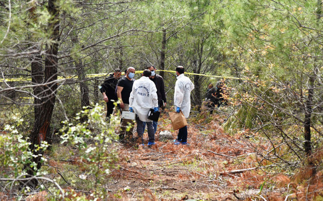 Kayıp Ahmet hemşirenin 17 gün sonra ağaca asılı cesedi bulundu - Resim: 0