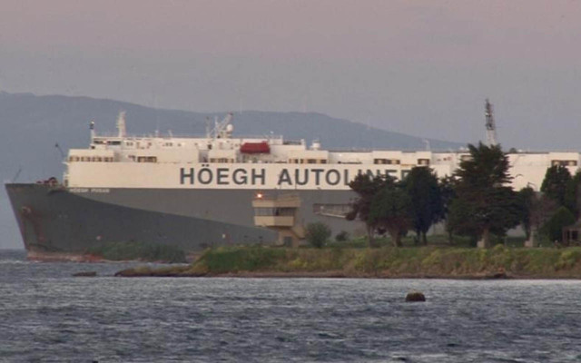 Tuzla’da karaya oturan gemi kurtarılmayı bekliyor - Resim: 0