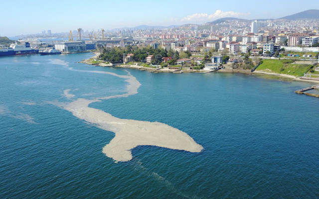 Tuzla sahiline gelenler korkup geri dönüyor ürküten görüntü - Resim: 0