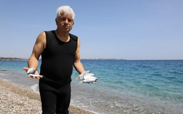 Zehirli ekmek ile avlayıp insanlara satıyorlar! Prof. Gökoğlu: Bu resmen doğayı katletmektir - Resim: 0