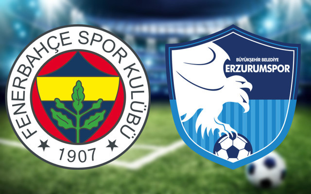 Fenerbahçe BB Erzurumspor maçı golleri ve geniş özeti - Resim: 2