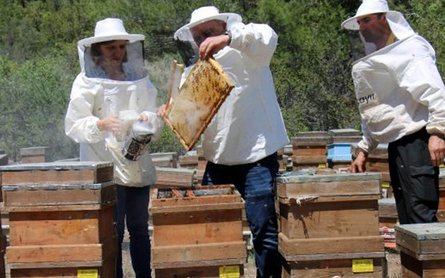 Gemi mühendisliğini bırakıp kimyager eşiyle başladı! Mersin'de en iyisini üretiyor - Resim: 1