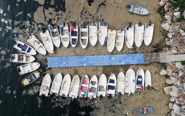 Denizleri tehdit ediyor ama! Deniz salyası; gübre, tarım ilacı ve temizlik malzemesi olacak - Resim: 2