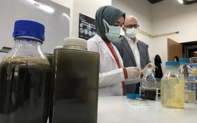 Denizleri tehdit ediyor ama! Deniz salyası; gübre, tarım ilacı ve temizlik malzemesi olacak - Resim: 0