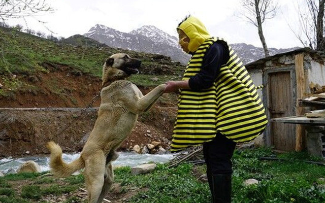 'Korona var öpme' klibi çeken türkücü Aydın Aydın, Covid-19'dan kaçamadı - Resim: 0