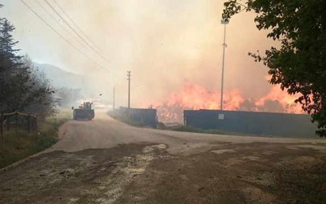 Afyonkarahisar'daki biyokütle enerji tesisinde ikinci yangın - Resim: 0