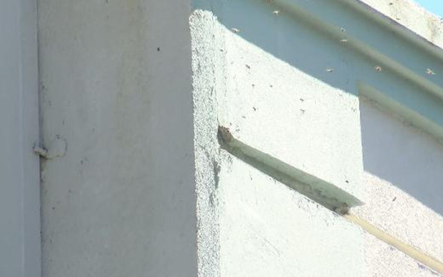 50 kilo! İstanbul'da duvarın içerisinden çıkana kimse inanamadı - Resim: 1