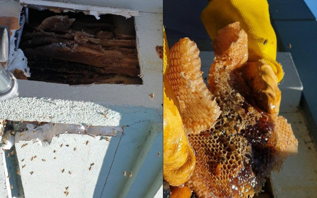 50 kilo! İstanbul'da duvarın içerisinden çıkana kimse inanamadı - Resim: 2