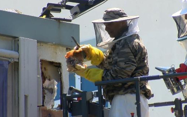 50 kilo! İstanbul'da duvarın içerisinden çıkana kimse inanamadı - Resim: 0