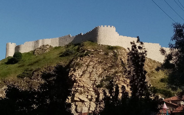 Çorum'da şizofreni hastası genç Ferdi surlardan düşüp öldü annesi tutuklandı - Resim: 0