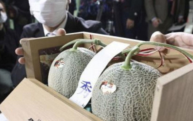 Japonya'da kavun müzayedesi: 208 bin liraya satıldı - Resim: 0