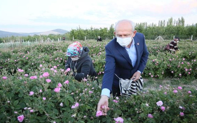 CHP lideri Kemal Kılıçdaroğlu gün doğumunda işçilerle gül topladı - Resim: 0