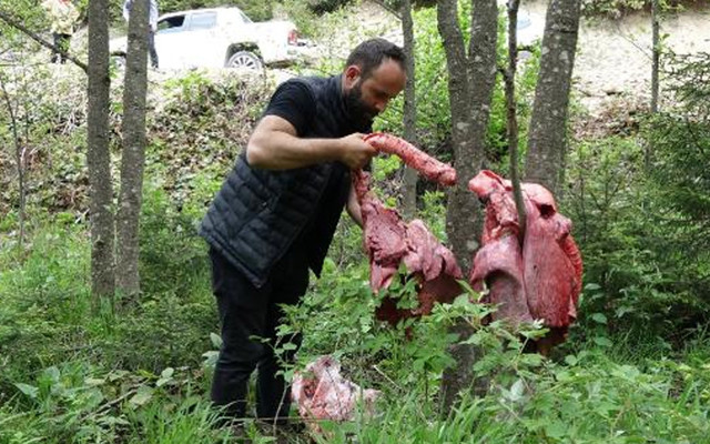Karadenizlinin yöntemi yanlış! Profesörden korkutan uyarı: İnsana yönelecekler - Resim: 0
